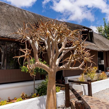 Kleinplasie Guesthouse Springbok Exterior foto